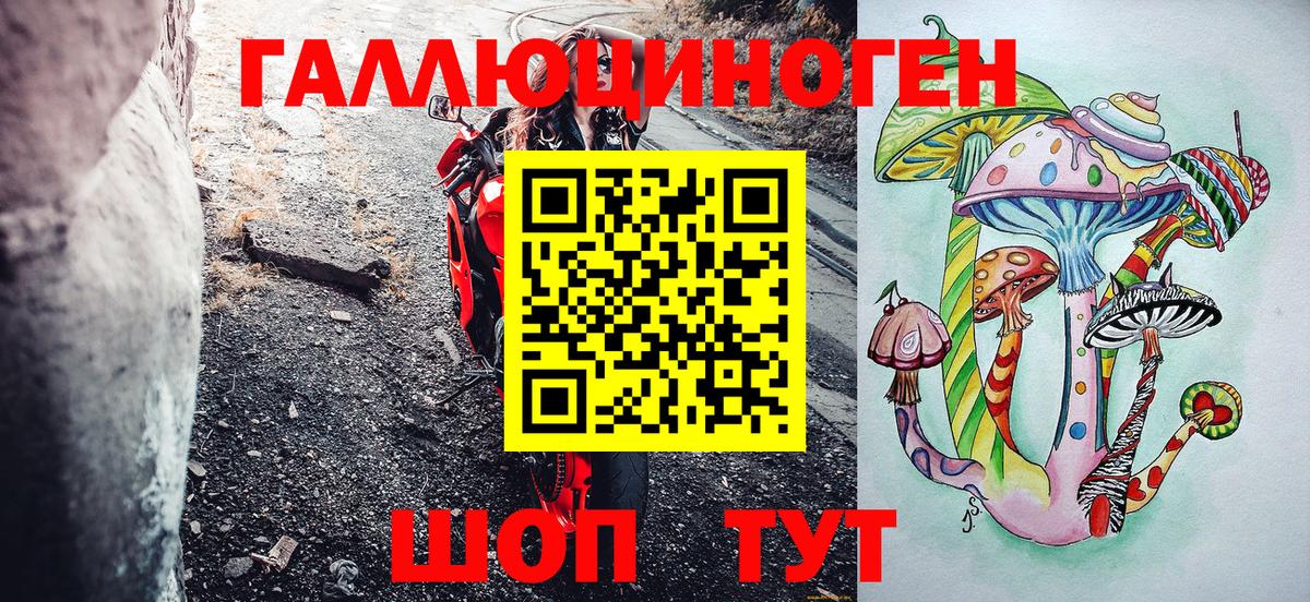 Галлюциногенные грибы Psilocybine cubensis Ивантеевка