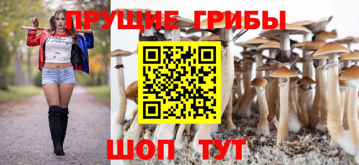 купить наркотик  Вход с VPN  Ивантеевка  Галлюциногенные грибы Psilocybe 